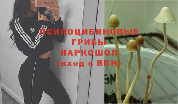 марки lsd Инта