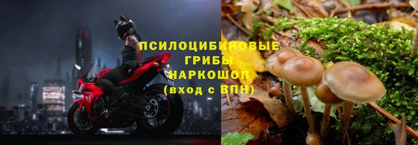 ECSTASY Зеленокумск
