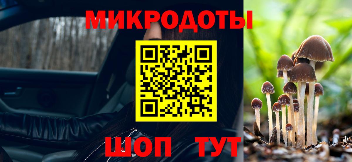 Псилоцибиновые грибы Cubensis  Вход с VPN  Мценск 